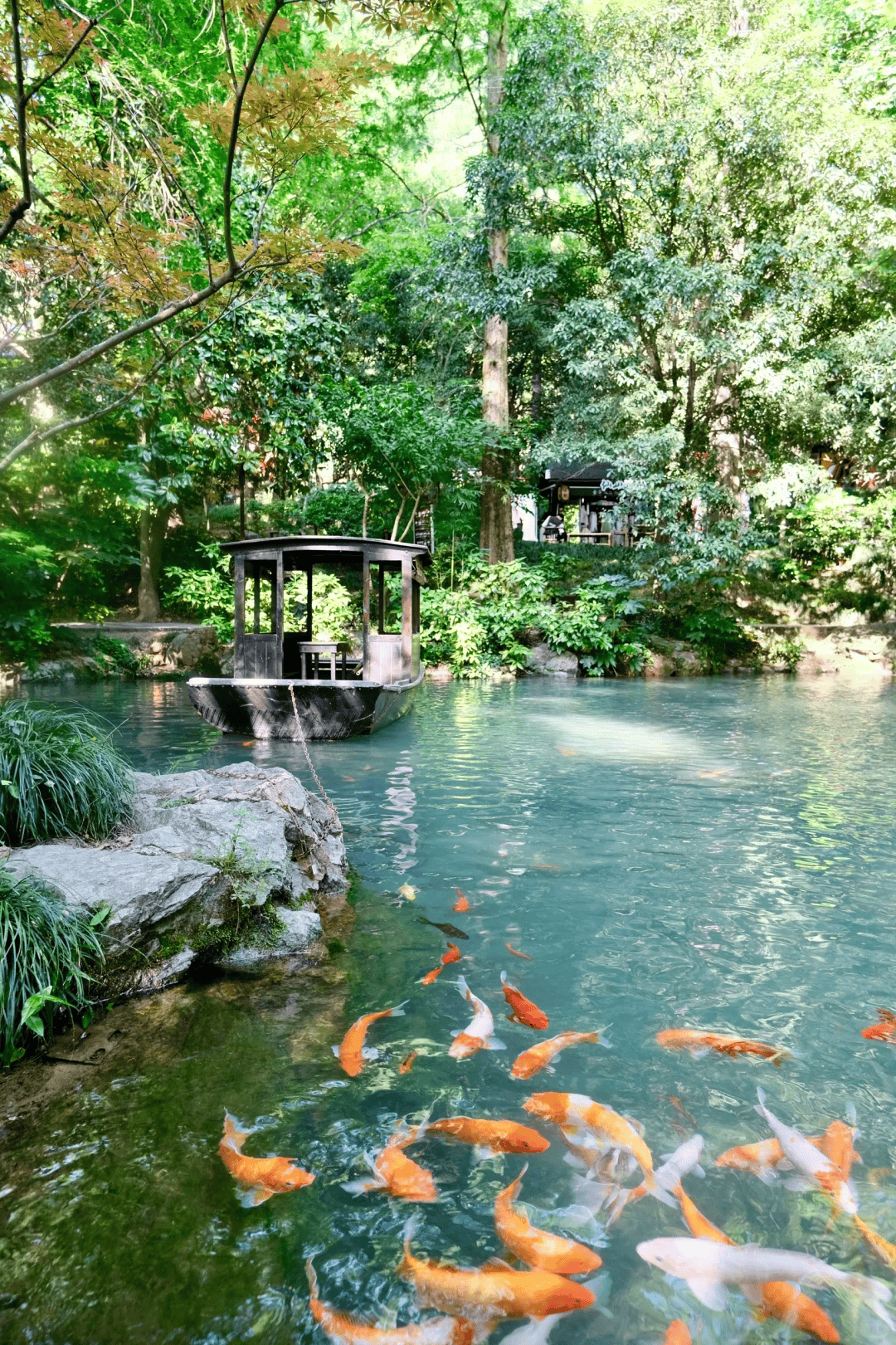 陪老妈去海边住了几天