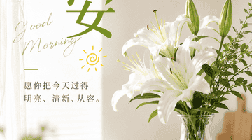 早安,别被已经付出的时间,绑住接下来的选择