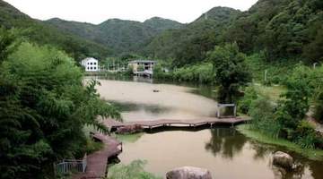 7月28日桐柏茶产业发展成果活动举行 多元茶事体验邀你共探淮源茗茶出圈新路径
