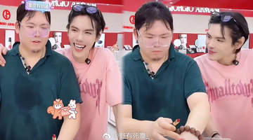 向太的一句开心，道出了豪门里最朴素的团圆
