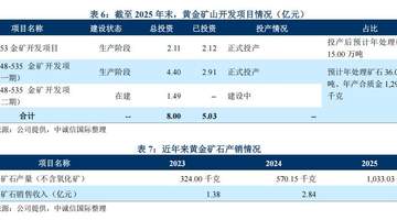 河南黄金集团来了