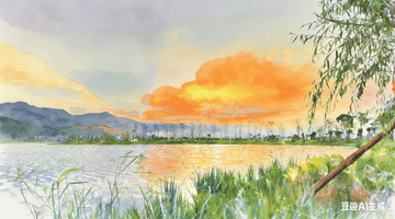 美文精选|邂逅平坝海