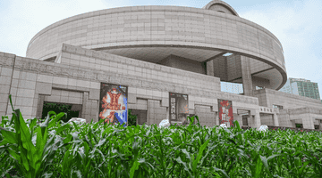 魔都眼|从玉米地到世界树:上博新展以宇宙观串联三千年美洲文明