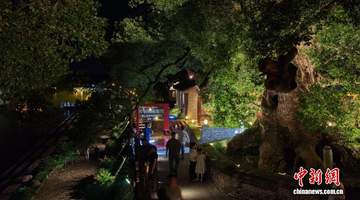 四百载崇仁古街焕新颜 特色夜游带旺乡村文旅