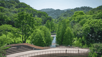 广州开听证会,拟定价白云山2处景点门票