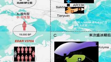 付巧妹:古人类演化研究将向更古老进军和史前更近时代延伸