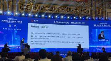 爱奇艺创始人龚宇:乐园化是线下商业差异化的最优解