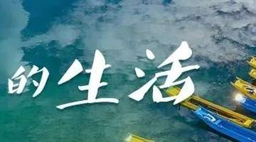 限定快乐!这个暑期,在云南当一回“捡菌人”丨有一种叫云南的生活之365天