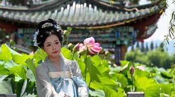 昆明大观公园夏日荷景如画