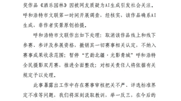 摄影比赛一等奖作品被指AI生成？官方通报
