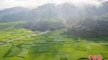 贵州从江:盛夏乡村田园美