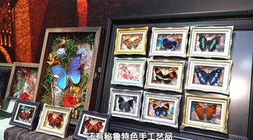 可看可玩可品 首博文创让您“挖到宝”