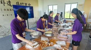 “中国寻根之旅”夏令营走进上海金山 体验科技与传统文化