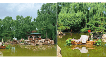 一步一景入国风,一园一境绘雅韵——友谊园国风主题园林景观营造圆满落成