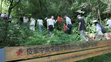 大别山千年茶马古道:古韵与红色记忆共绘文旅新篇