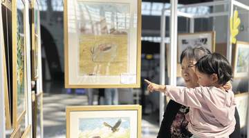 西宁青少年画展亮相曹家堡机场 呈现三江源生态之美
