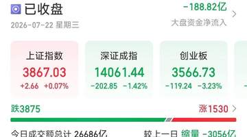 A股市场震荡加剧 多板块遭遇调整