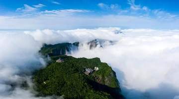 老外避暑首选张家界清凉享乐