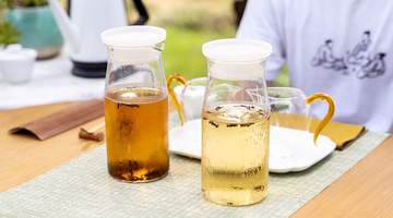 炎夏组队解锁冷泡茶玩法 体验多元茶香沉浸乐趣