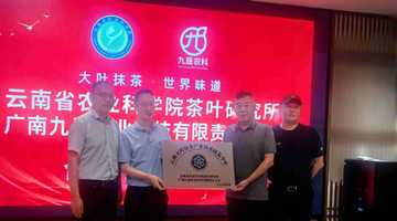 云南大叶种抹茶迎来院企联合布局 多元参与见证标准化国际化新起点