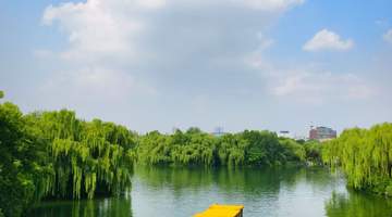来明湖体验盛夏里的沉浸式声光秀