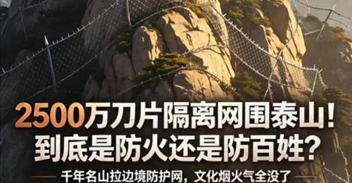 泰山铁网,就是一个典型的“项目学”