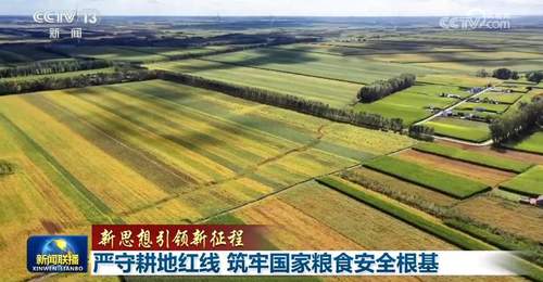【新思想引领新征程】严守耕地红线 筑牢国家粮食安全根基