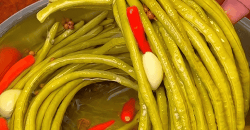 一坛酸香封夏日,鲜豇豆腌渍时光