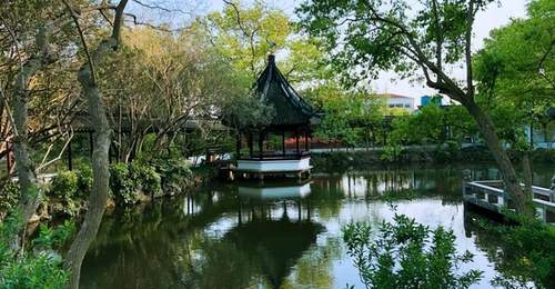 逛上海松江醉白池 摸千年前的江南园林质感 赏名字里的诗与远方