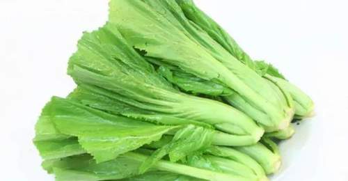 耳鸣吃芥菜咋吃更护耳 这些搭配和注意事项得记牢