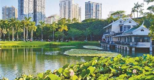 市民“出门进园”成寻常,厦门目前共有300多座公园(含口袋公园)