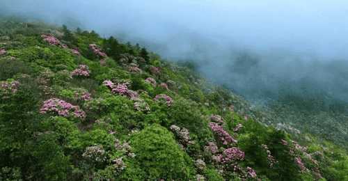 【读方志·游吉安】走进井冈山市:“永宁八景”