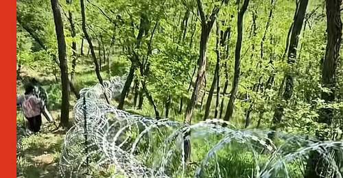 刀片铁丝网围泰山,错哪儿了?