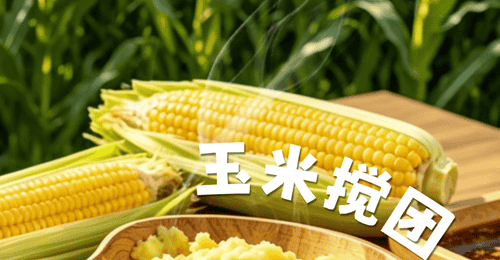阿坝盛宴丨玉米搅团,“搅”出一碗山野康养滋味