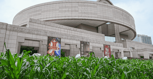 魔都眼|从玉米地到世界树:上博新展以宇宙观串联三千年美洲文明