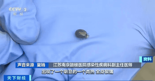 户外露营 小心被这种虫子“贴贴”!