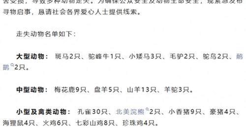 100多只动物被冲走,“部分可能有攻击性”