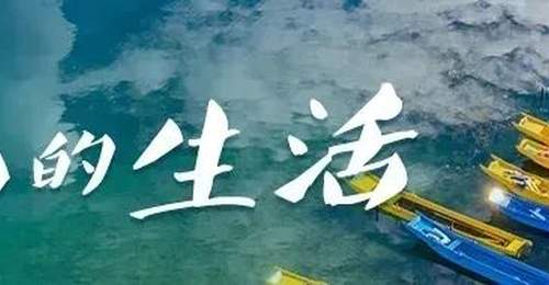 限定快乐!这个暑期,在云南当一回“捡菌人”丨有一种叫云南的生活之365天