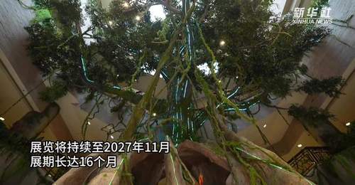 来上海博物馆探秘美洲古文明