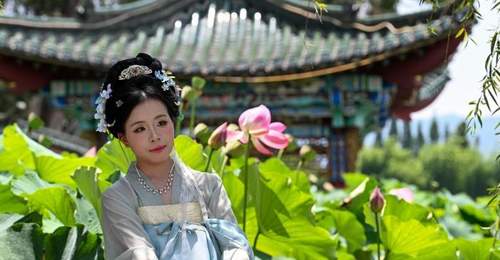 昆明大观公园夏日荷景如画
