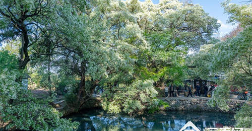 滇村旅居 | 桑岭村:藏在剑湖之畔的盛夏清凉栖居地