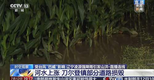 大桥被淹没、玉米泡水1米深,直击辽宁凌源强降雨现场
