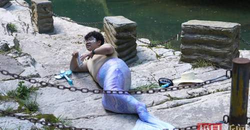 湖北一景区“胖头美人鱼”走红,被网友戏称“胖海象”