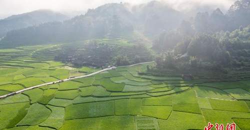 贵州从江:盛夏乡村田园美