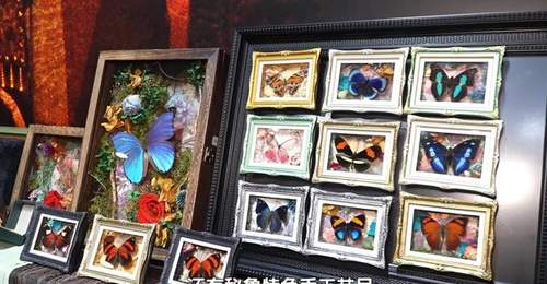 可看可玩可品 首博文创让您“挖到宝”