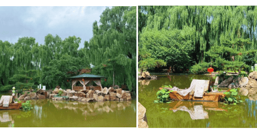 一步一景入国风,一园一境绘雅韵——友谊园国风主题园林景观营造圆满落成