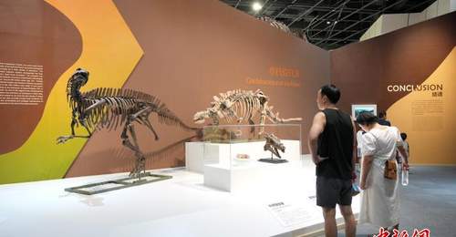 《白垩纪的回响——隅见地球最后的恐龙盛世》特展吸引参观者