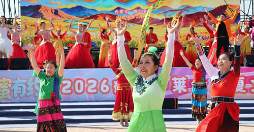 甜蜜有约：2026磴口华莱士消夏节启幕，游客尽享河套风情