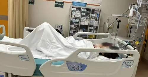 上海反虐猫志愿者遭网暴后轻生,经抢救已脱险 家属将协助维权