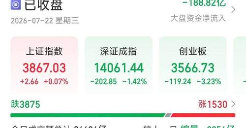 A股市场震荡加剧 多板块遭遇调整